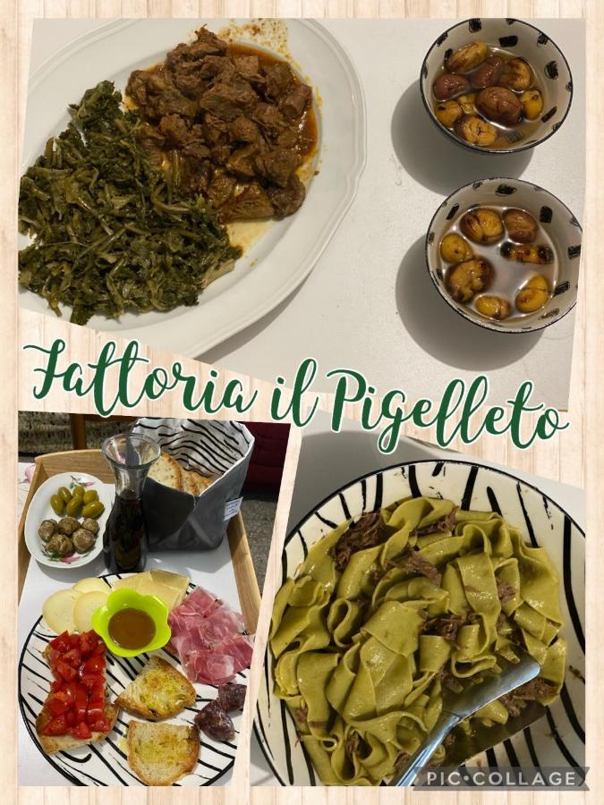 فيلا بيانكاستانايوفي Fattoria Il Pigelleto المظهر الخارجي الصورة