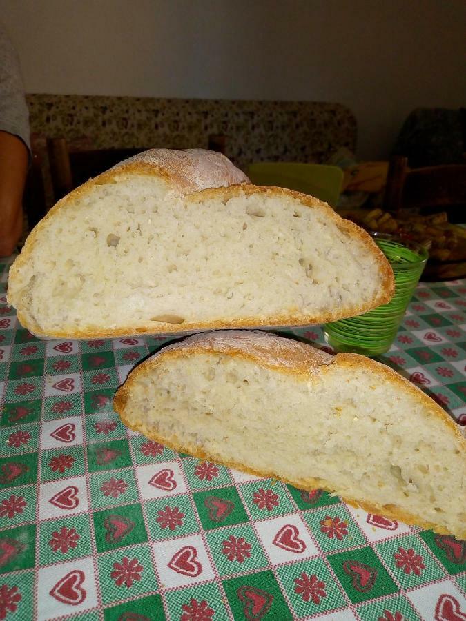 فيلا بيانكاستانايوفي Fattoria Il Pigelleto المظهر الخارجي الصورة